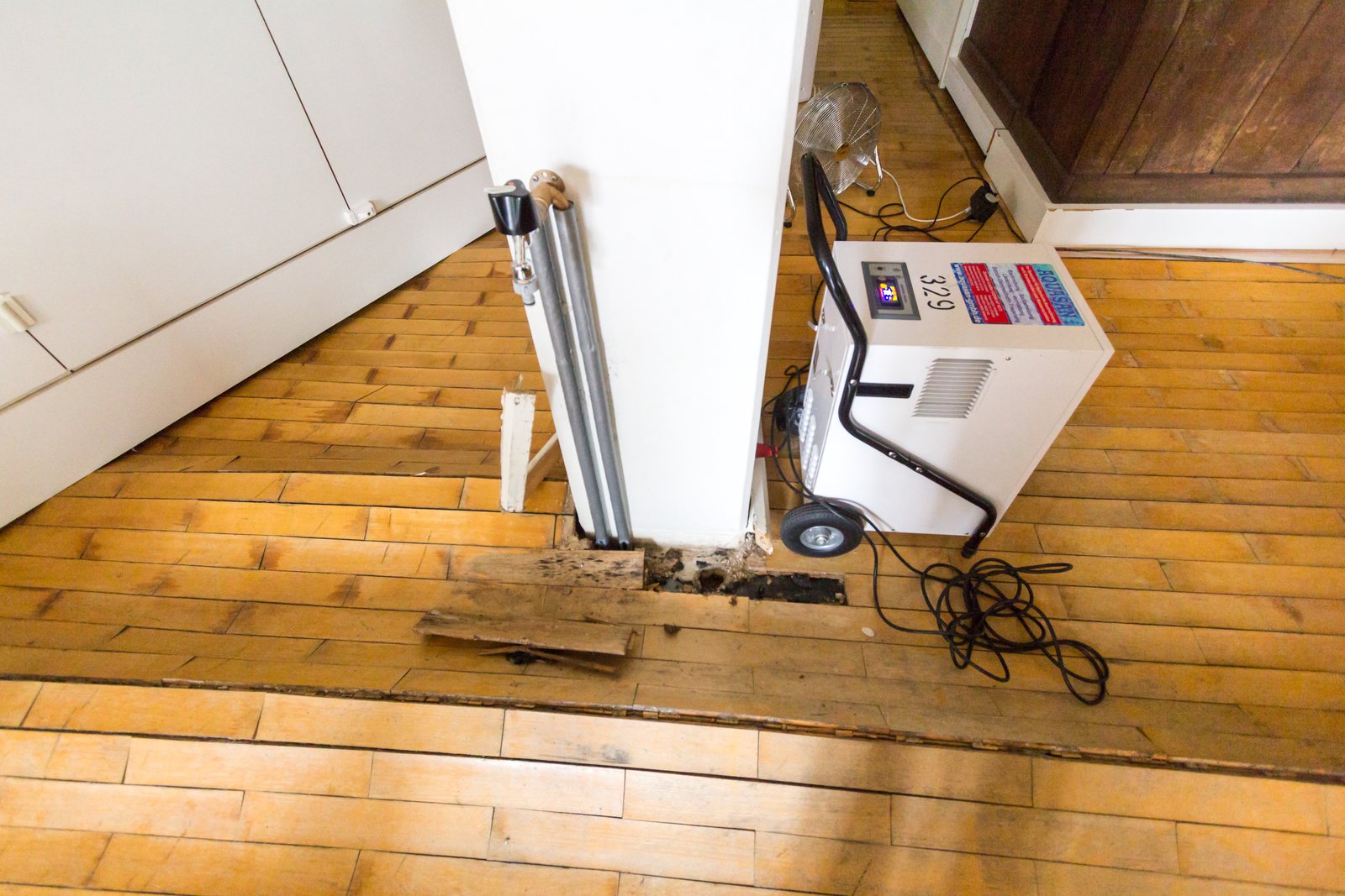 Commercial wheeled dehumidifier alongside swollen parquet flooring